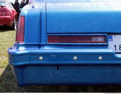 Photo Reference of Veteran